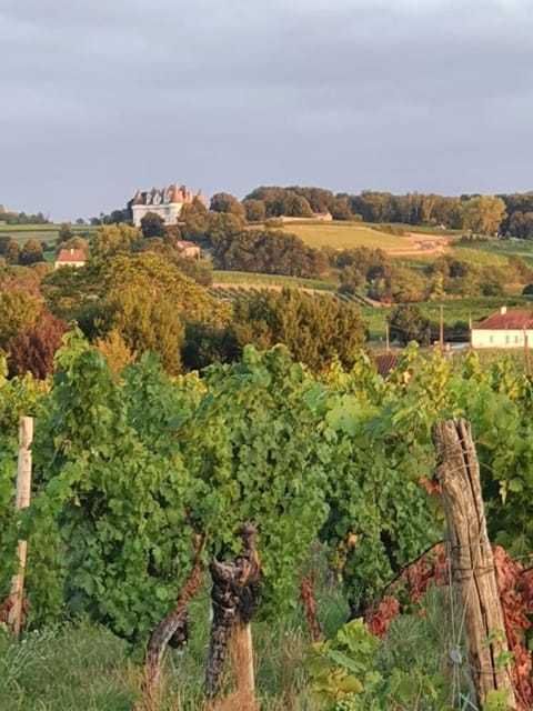 Clair de Vigne Bed and Breakfast in Bergerac