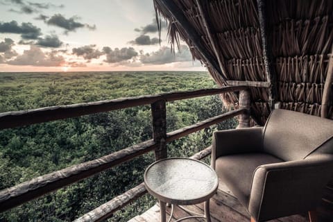 View (from property/room), Balcony/Terrace, Sunrise