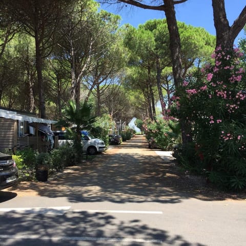 Mobile Home OuiReves 74 facing the Mediterranean House in Agde