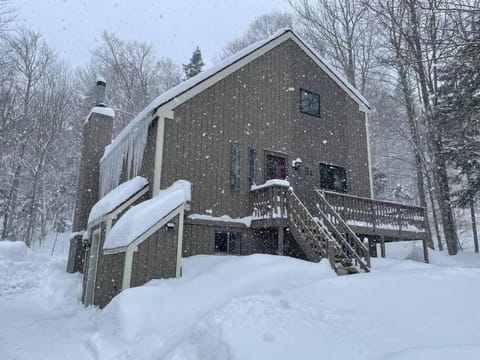 MT SNOW SKI-BACK TRAIL FREE SHUTTLE - Green Mountain House Haus in Dover