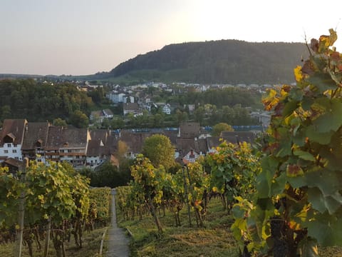 Rhii B&B Bed and Breakfast in Schaffhausen, Switzerland