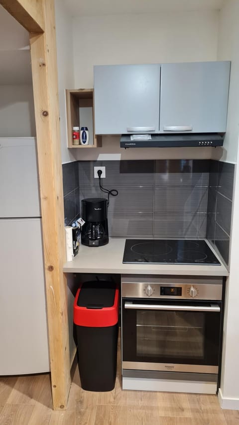 Coffee/tea facilities, Kitchen or kitchenette, oven, stove