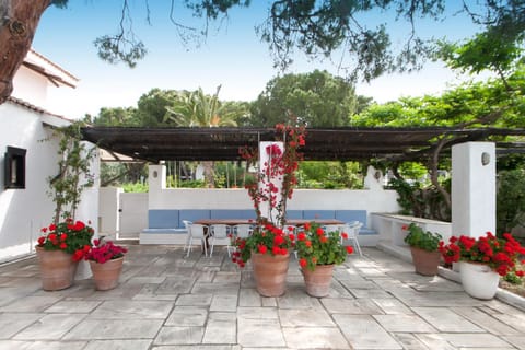 Patio, Dining area