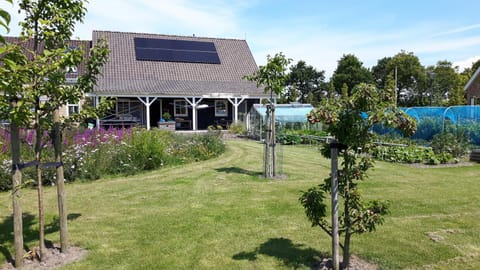 B&B de Tuinhof Bed and Breakfast in Koudekerke