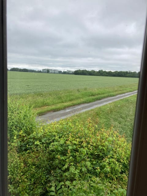 The Shed Apartment in South Norfolk District