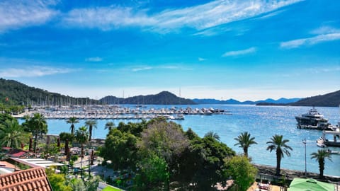 Nearby landmark, Day, Natural landscape, Beach, Mountain view, Sea view