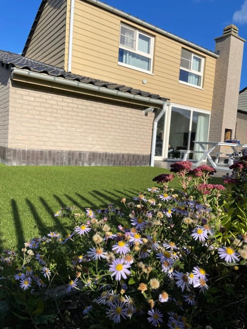 Property building, Garden, Garden view