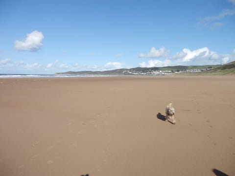 Off site, Natural landscape, Beach