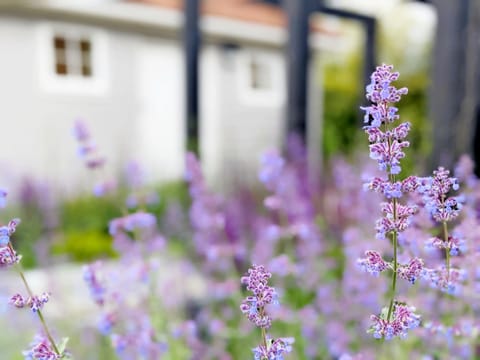 Little Maplewood, Tangmere House in Arun District