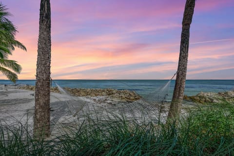 Dolphin Tales - 836 S Bay House in Holmes Beach