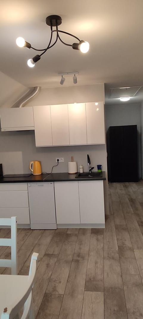 Apartamenty Wilga z całorocznym jacuzzi i letnim basenem Apartment in Masovian Voivodeship