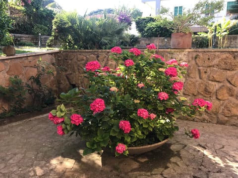 Bellissima turchese Apartment in Anzio