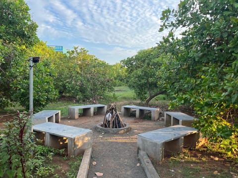 Paradise Forest Resort Resort in Puducherry, India