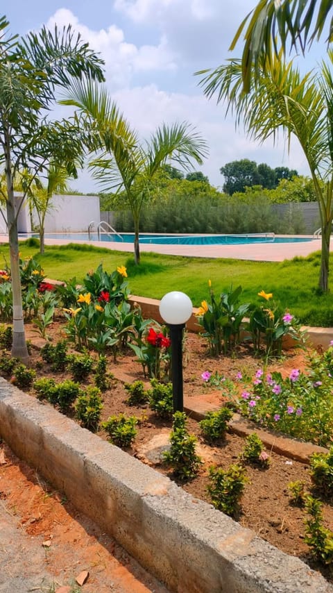 Garden view, Swimming pool