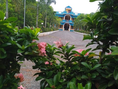 Natural landscape, Garden view