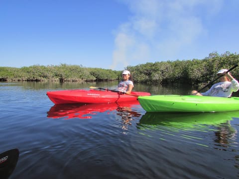 Beach, Canoeing