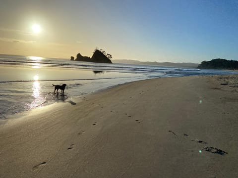 Bliss on the Beach - Whangapoua House in Auckland Region