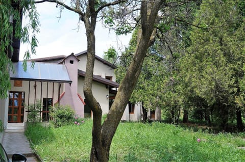 Property building, Garden view