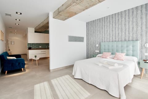 9 NIDOS Céntrica Suites - Nuevo Appartement in Plasencia