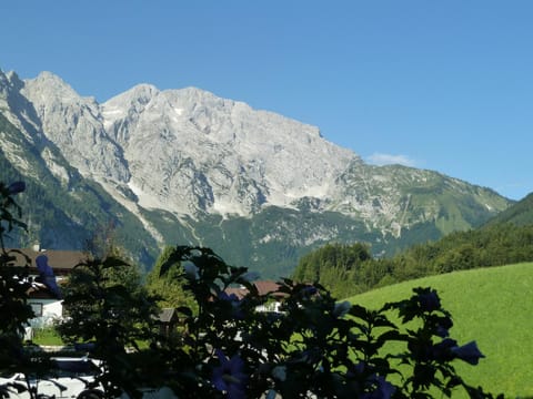 Pension Schöne Aussicht Pensão in Salzburgerland