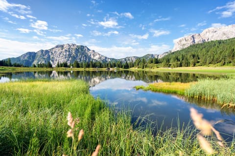 Natural landscape, Mountain view