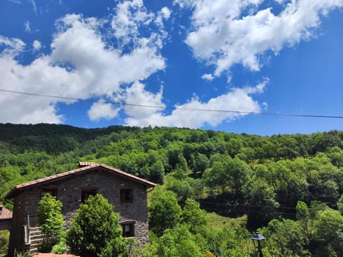 Allotjaments Cal Llarg Apartment in Ripollès