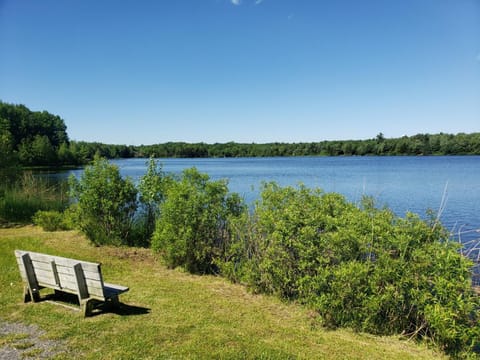 Simply Stunning 4BD House Among Lakes with Gameroom & Sauna Apartment in Coolbaugh Township