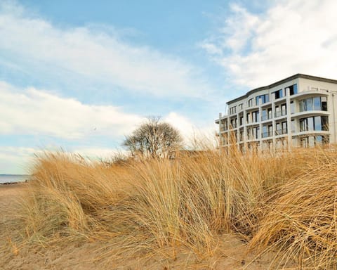 Property building, Winter