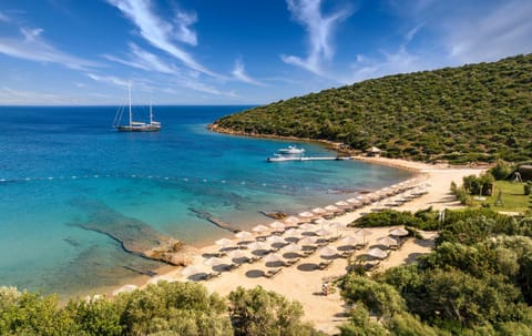 Day, Natural landscape, Beach, Sea view, sunbed