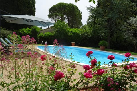 La Mésange Bleue - piscine privée House in L'Isle-sur-la-Sorgue