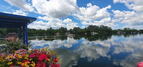 Lake view