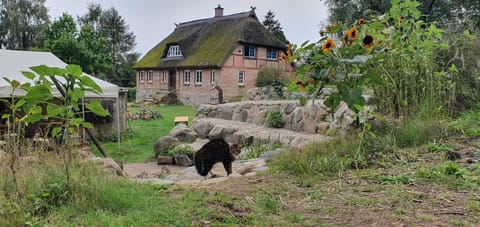 Property building, Natural landscape, Garden, Pets, Garden view