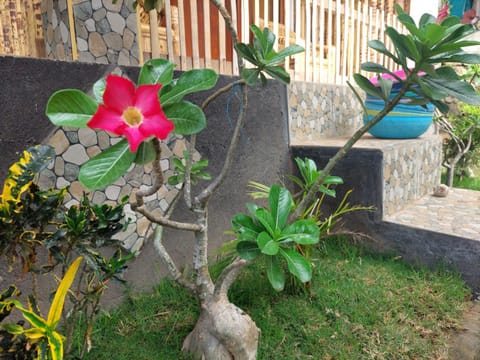 Two One Homestay Vacation rental in Pujut