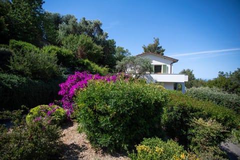 Property building, Day, Natural landscape, Garden, Garden view