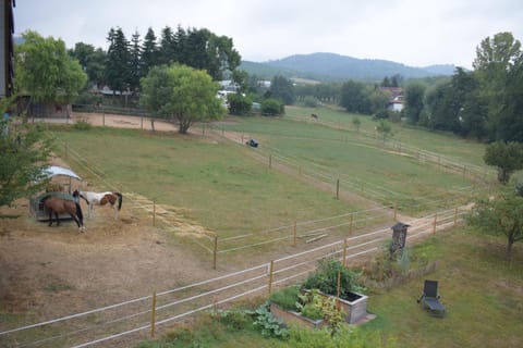 View (from property/room), Garden view