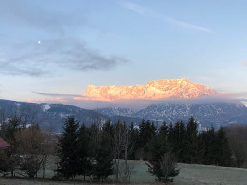 Pension David Bed and Breakfast in Salzburgerland