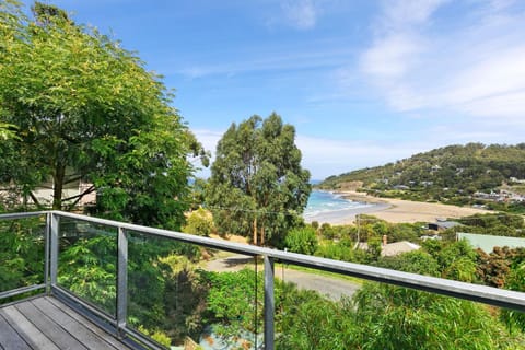 Drift - Luxury, location and ocean views House in Wye River