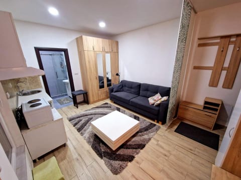 Delfin Apartment in Belgrade