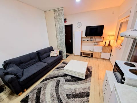 Delfin Apartment in Belgrade