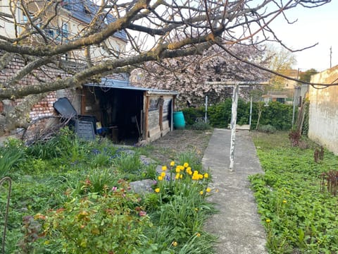 Spring, Day, Garden, Garden view