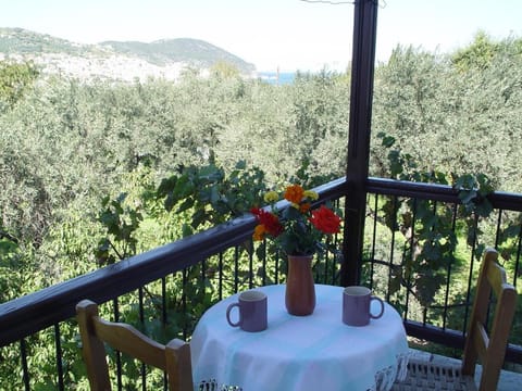 Platanakia Apartamento in Skopelos