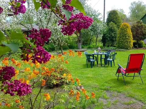 Patio, Garden