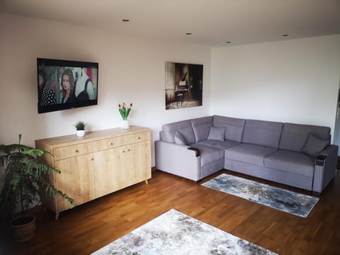 Bed, TV and multimedia, Living room, Seating area