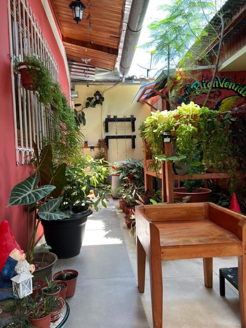 Casa Micaela Vacation rental in Iquitos