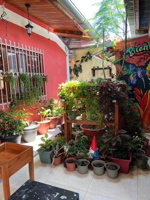 Casa Micaela Vacation rental in Iquitos