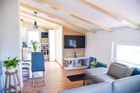 Holiday Home - Istrian Dream with swimming pool Apartment in Peroj