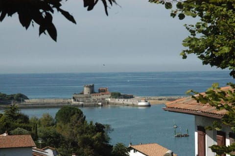 Natural landscape, Sea view