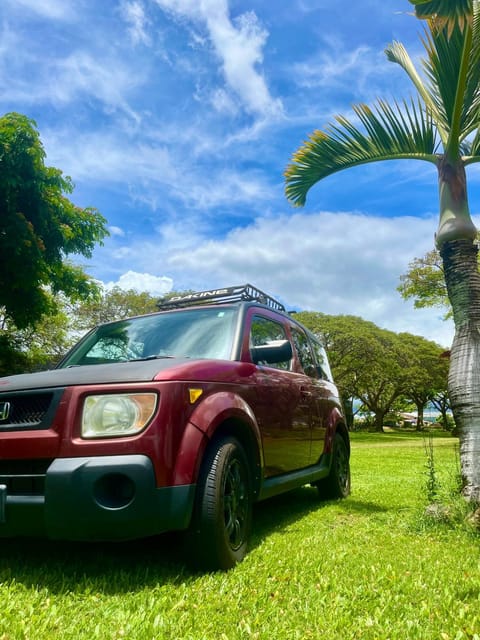 Go Camp Maui Camping /
Complejo de autocaravanas in Maui