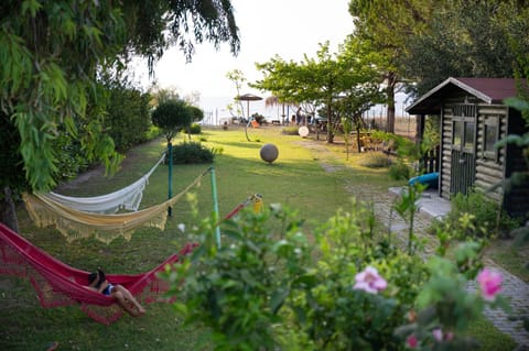 Patio, Garden, Garden view