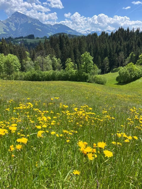 Spring, Day, Natural landscape, Mountain view